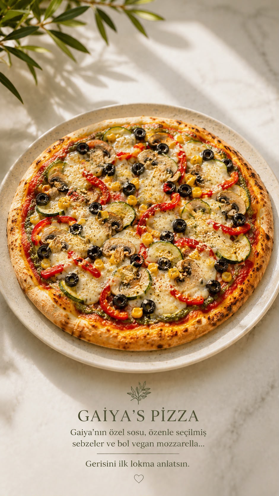 Three-cheese Veggie Pizza